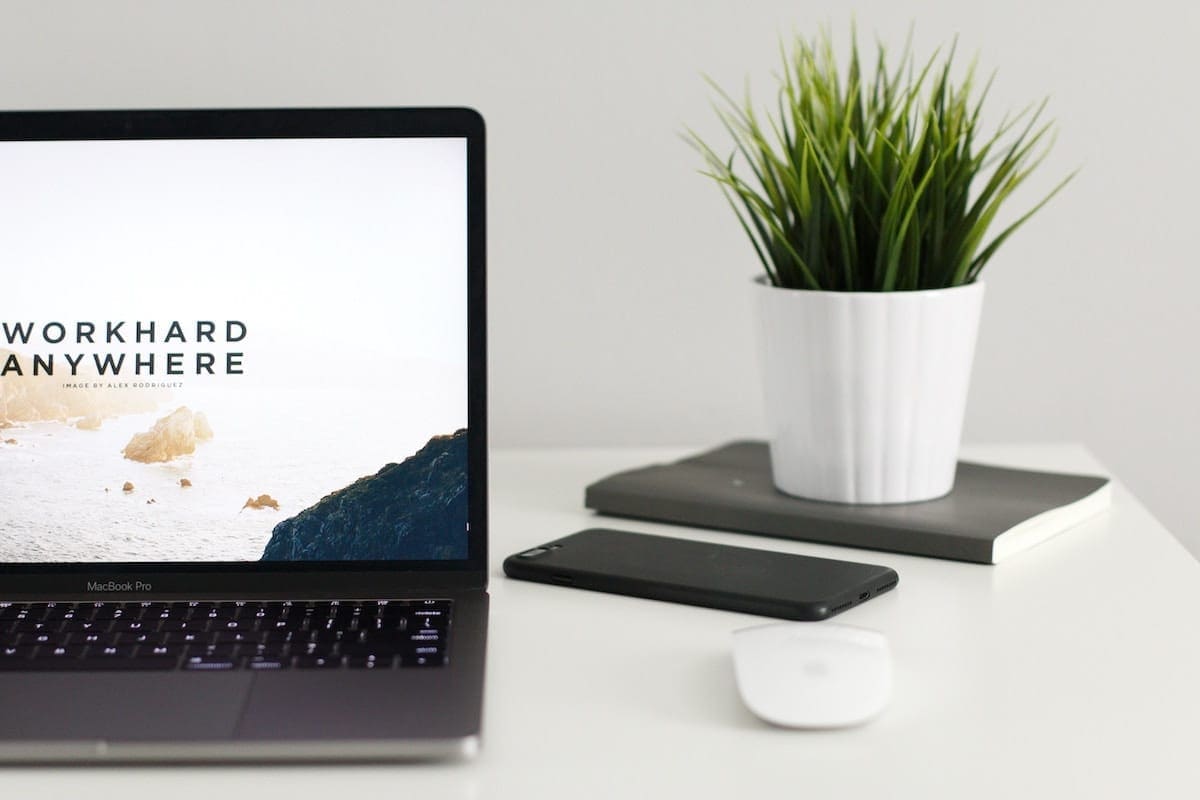 a laptop and plant on top of white desk